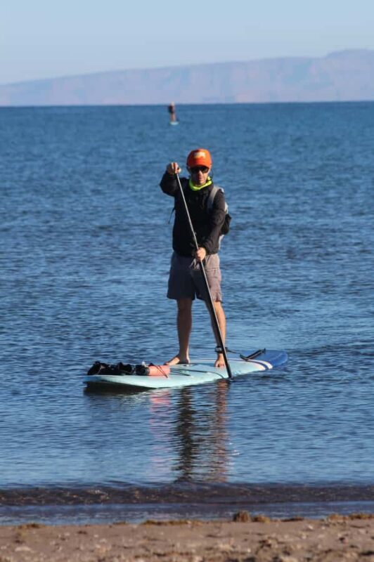 La Paz Bay Guided Paddleboarding and Snorkeling Tour - Key Points