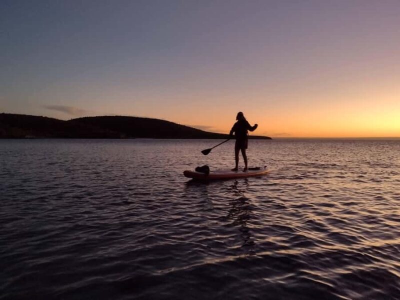 La Paz Bay Guided Paddleboarding and Snorkeling Tour - Authentic Experiences and Traveler Feedback