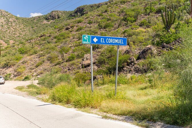 La Paz Beaches Half Day Tour - Who Should Book This Tour?