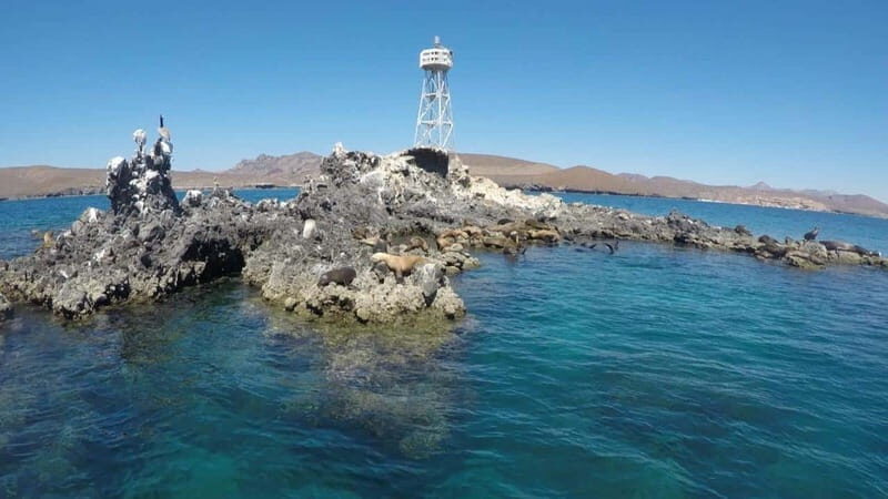 La Paz: Day Cruise & Snorkelling (w/sea lions) Food & Drinks - Final Thoughts