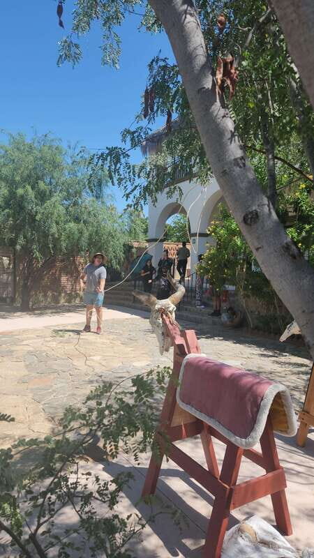 La Paz: El Triunfo Town Tour with Lunch and Transportation - An In-Depth Look at the El Triunfo Town Tour