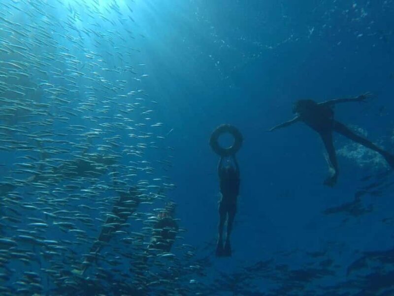La Paz: Espíritu Santo Island Snorkeling Tour with Lunch - Exploring the Espíritu Santo Island Snorkeling Tour from La Paz