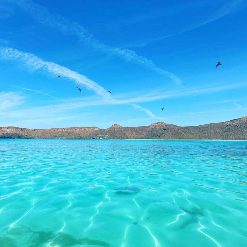 La Paz: Espiritu Santo Island Tour - Who Should Consider This Tour?