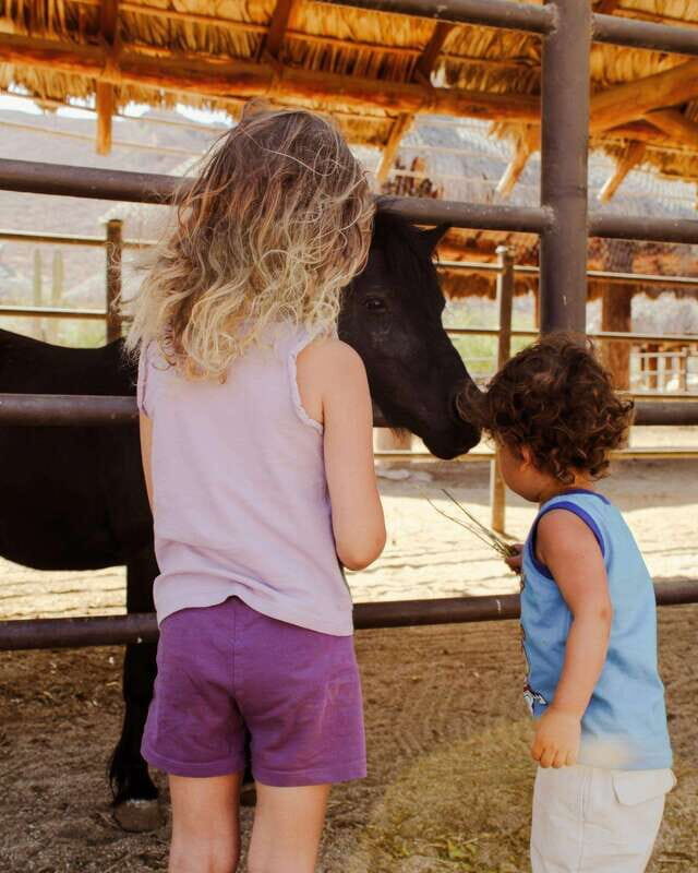 La Paz: Horseback Riding - Final Thoughts