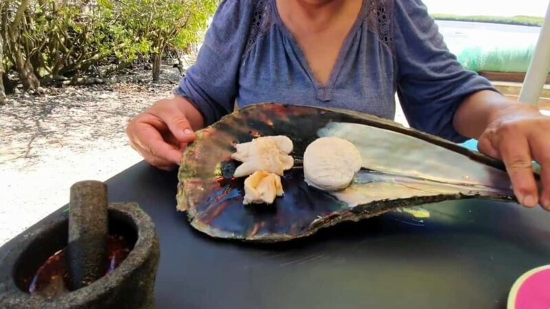 La Paz: Mangrove Adventure, Snorkeling and Shellfish Tasting - Key Points