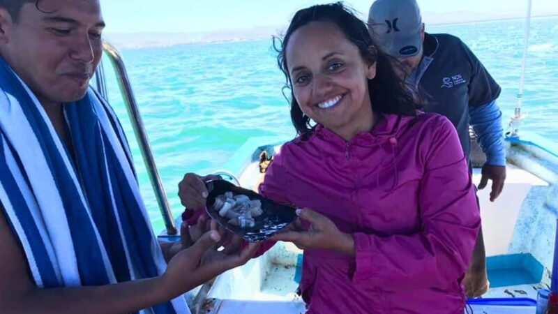 La Paz: Mangrove Adventure, Snorkeling and Shellfish Tasting - Exploring La Paz’s Mangrove Ecosystem