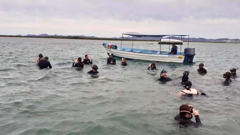 La Paz: Mangrove Adventure, Snorkeling and Shellfish Tasting - Educating and Connecting with Nature