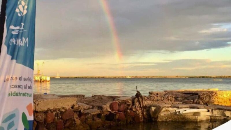 La Paz: Mangrove Adventure, Snorkeling and Shellfish Tasting - Practical Details and Value