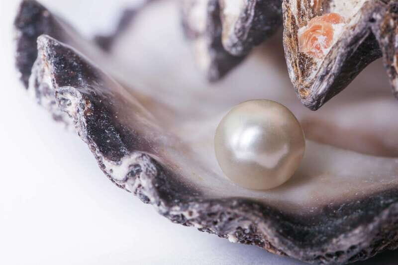 La Paz: Pearl Farm Experience and shop - An In-Depth Look at the Pearl Farm Tour