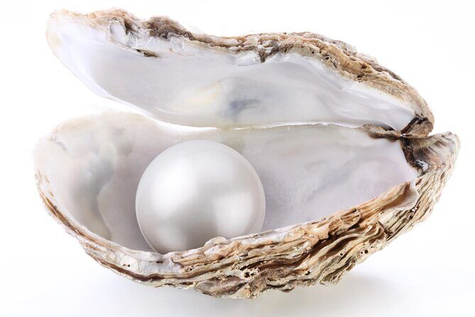 La Paz: Pearl Farm Experience and shop - The Sum Up: Who Will Love This Tour?