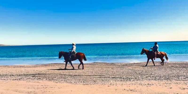 La Paz: Scenic Beach Horseback Ride with Snacks - Final Thoughts: Who Will Love This Experience?