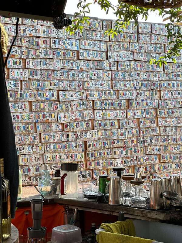 La Paz: Todos Santos Day Trip - Key Points