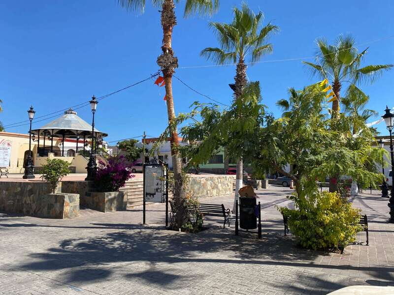 La Paz: Todos Santos Day Trip - Who Will Love This Tour?