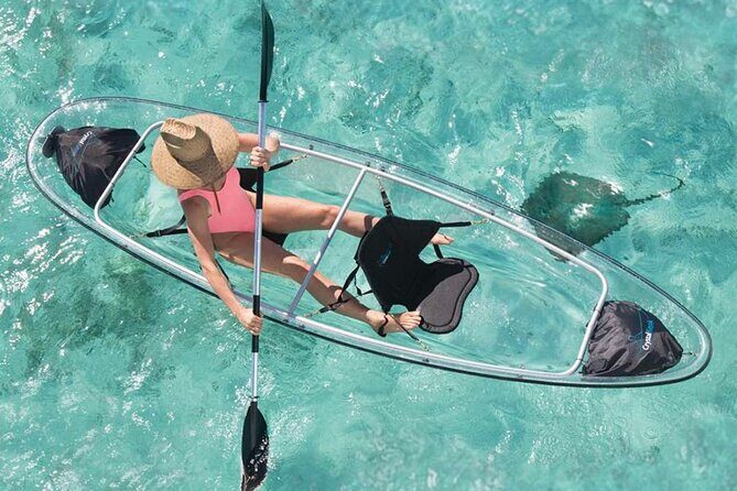 La Paz Transparent Kayaks & Paddle Boards - What Makes La Paz Transparent Kayaks & Paddle Boards Special