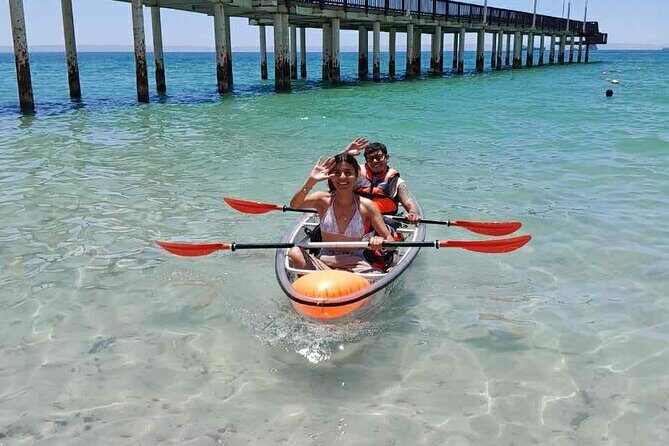 La Paz Transparent Kayaks & Paddle Boards - Insights from Real Travelers