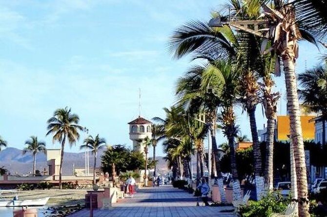 La Paz Whale Shark Snorkeling Tour and Lunch From Los Cabos - Lunch on La Paz’s Malecón: Tacos, Culture, and a View