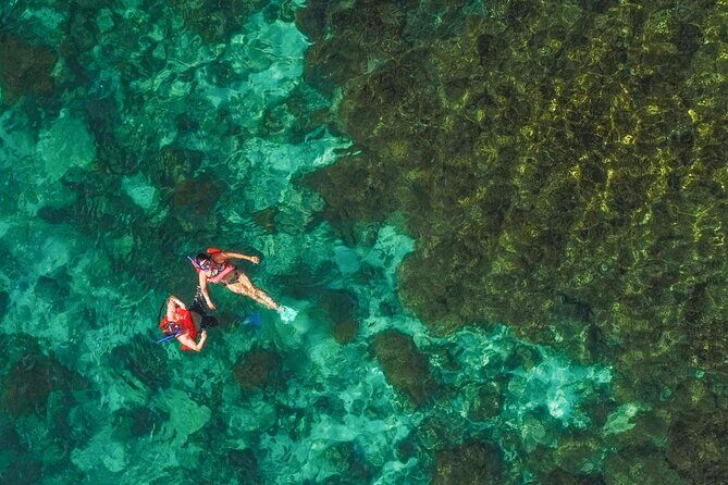 La Paz World class Snorkeling in Balandras Hidden Beaches - Final Thoughts: Who Should Consider This Tour?