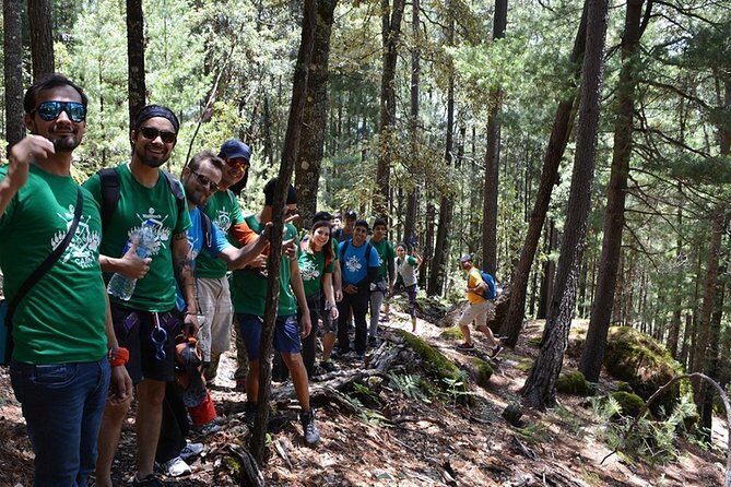 La Pirámide Park // WALK AND DISCOVER THE PARK - FAQs