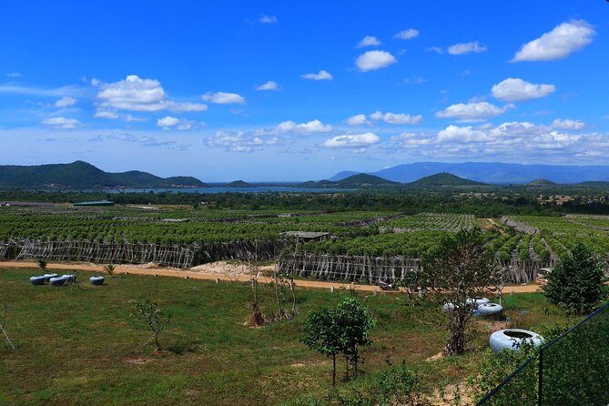 La Plantation tour (discovering Kampot Pepper) + Lunch - An In-Depth Look at the La Plantation Experience