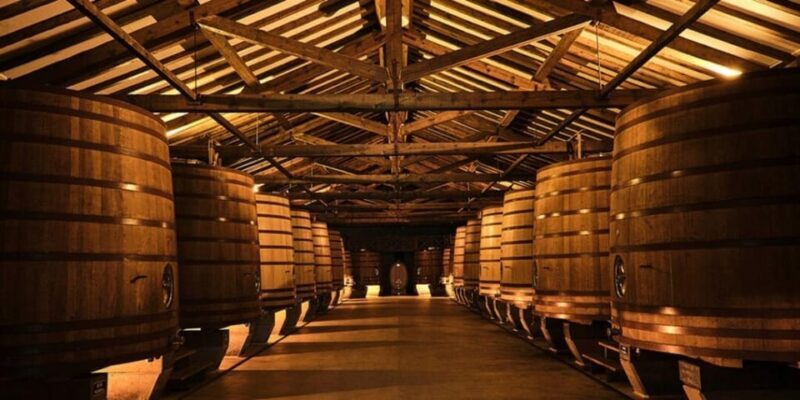 La Rioja: Guided visit to CVNE Winery and wine tasting - The Experience for Different Travelers