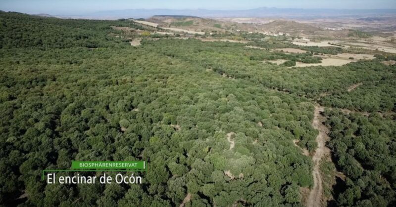 La Rioja: Jamon Iberico Farm Tour and Tasting with Wine - An In-Depth Look at the Farm Tour Experience