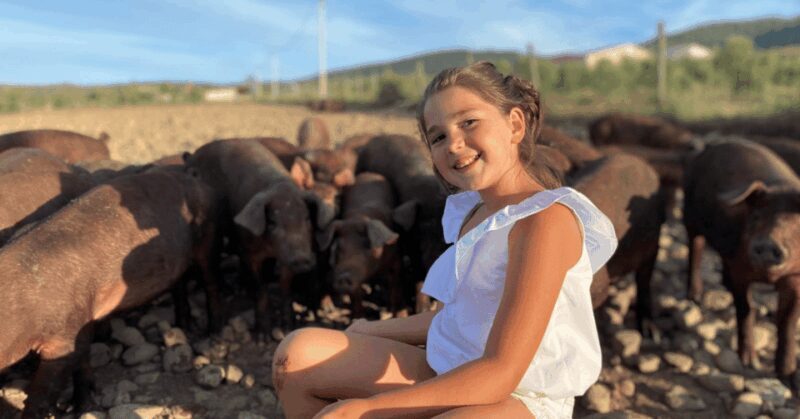 La Rioja: Jamon Iberico Farm Tour and Tasting with Wine - Final Thoughts: Is It Worth It?