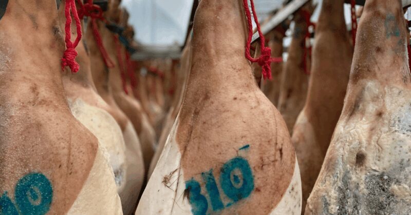 La Rioja: Jamon Iberico Farm Tour and Tasting with Wine - FAQ