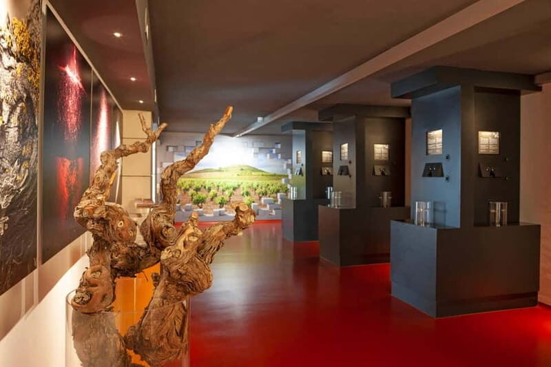 La Rioja: Sensory Experience With Wine Tasting - Key Points