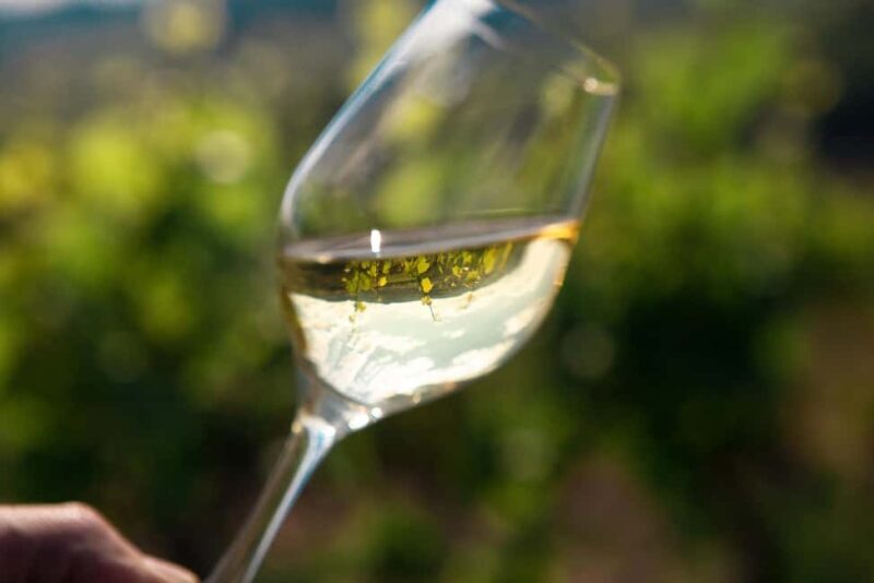 La Roche Vineuse: Tour of the Vine and Wine Museum - Key Points