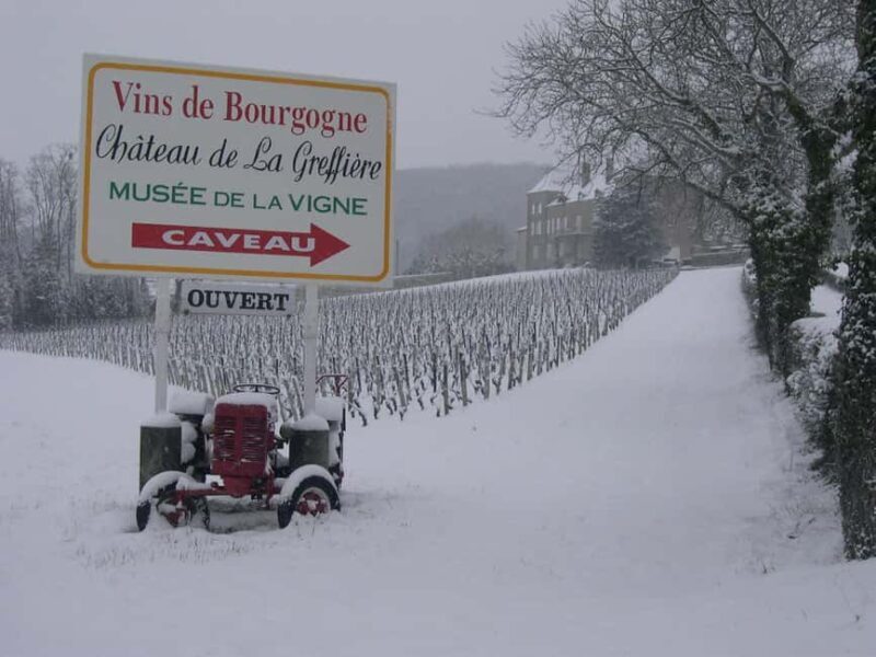 La Roche Vineuse: Tour of the Vine and Wine Museum - FAQ