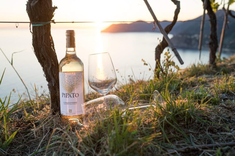 La Spezia: 4 Wines GOLD Degustation - Key Points