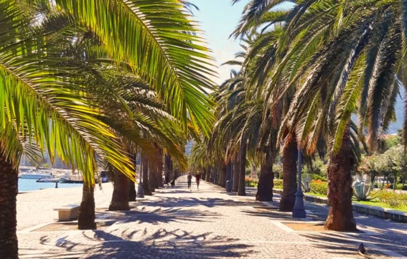 La Spezia: Guided Walking Tour with Italian-Inspired Music - Key Points