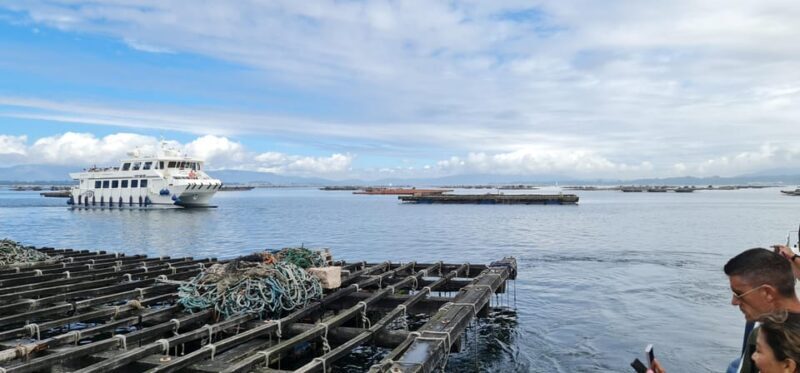 La Toja: Boat Tour at the Arousa estuary with mussel tasting - Exploring the La Toja Boat Tour in Depth