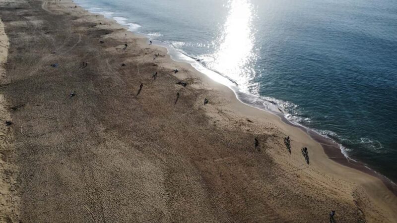 La Tremblade: Hiking in the Forêt Domaniale de la Coubre - The Regional Tasting: A Delightful Finish