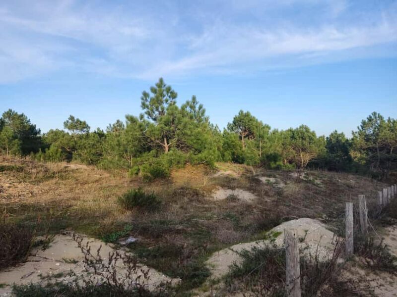 La Tremblade: Hiking in the Forêt Domaniale de la Coubre - Practical Details and Tips