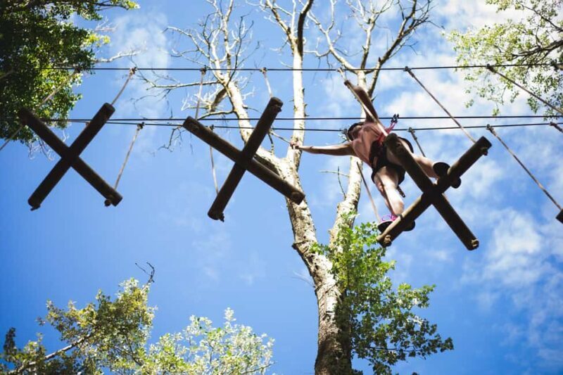 La Tremblade: Oasalis Parcours Adventure Park Entry - Who Will Love This Experience?