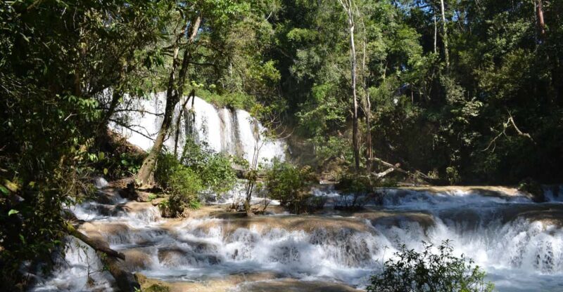 Lacandon Jungle Adventure and Bonampak Archaelogical Site - Discovering the Lacandon Jungle and Bonampak: A Full-Day Adventure in Chiapas