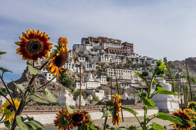 Laddakh Valley Tour (Leh, Nubra & Pangong Lake) - The Sum Up