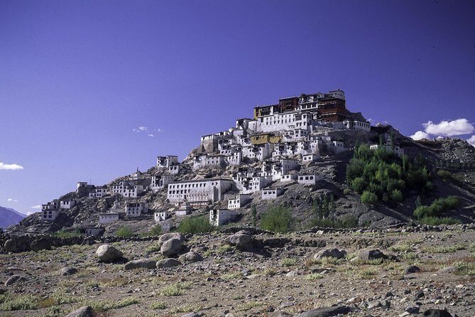 Laddakh Valley Tour (Leh, Nubra & Pangong Lake) - FAQ