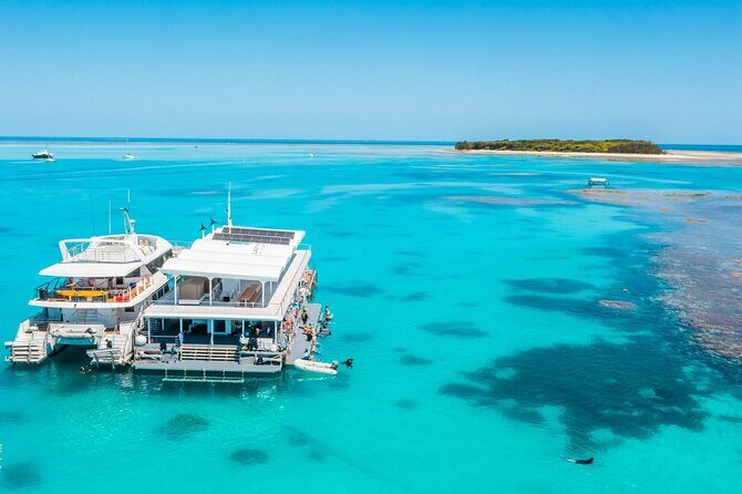 Lady Musgrave Day Trip from Bundaberg Including Snorkeling - Authentic Experiences and Guest Insights
