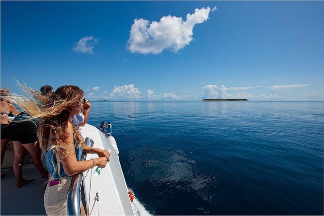 Lady Musgrave Day Trip from Bundaberg Including Snorkeling - Practical Tips for Future Travelers