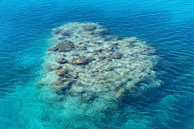 Lady Musgrave Day Trip from Bundaberg Including Snorkeling - The Sum Up