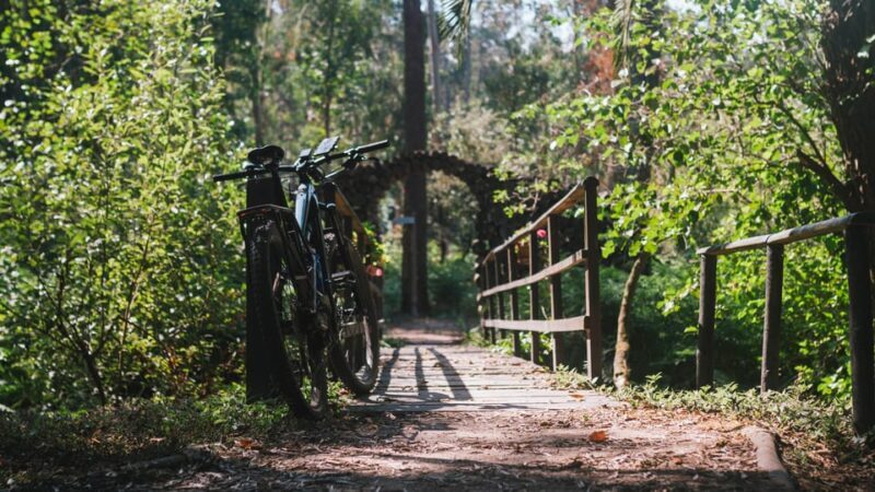 Lagoa da Ervedeira E-bike and Stand Up Paddle tour - FAQs