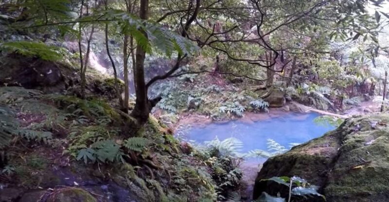 Lagoa do Fogo: Biologist-guided Volcano Geo Tour +Hotsprings - Hot Springs and Waterfalls: Relaxing in Nature