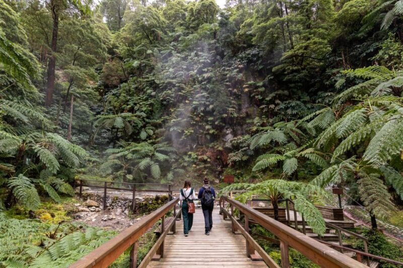 Lagoa do Fogo: Biologist-guided Volcano Geo Tour +Hotsprings - Practical Details and What to Expect