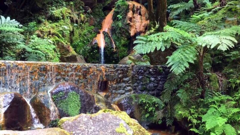 Lagoa do Fogo: Biologist-guided Volcano Geo Tour +Hotsprings - Who Should Do This Tour?