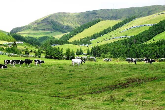 Lagoa do Fogo: Private Scenic Walking Tour - Final Thoughts