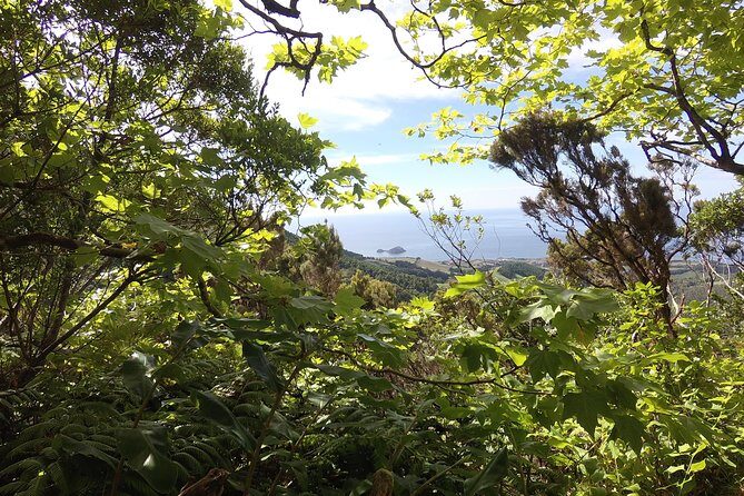 Lagoa do Fogo Walking Tour with Lunch from Ponta Delgada - Value and Practical Considerations