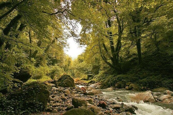 Lagodekhi - A day hiking from Tbilisi - An In-Depth Look at the Lagodekhi Day Hike Experience