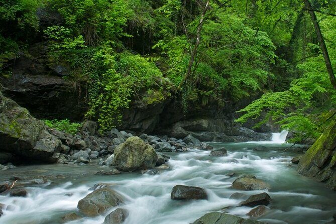 Lagodekhi - A day hiking from Tbilisi - Final Thoughts